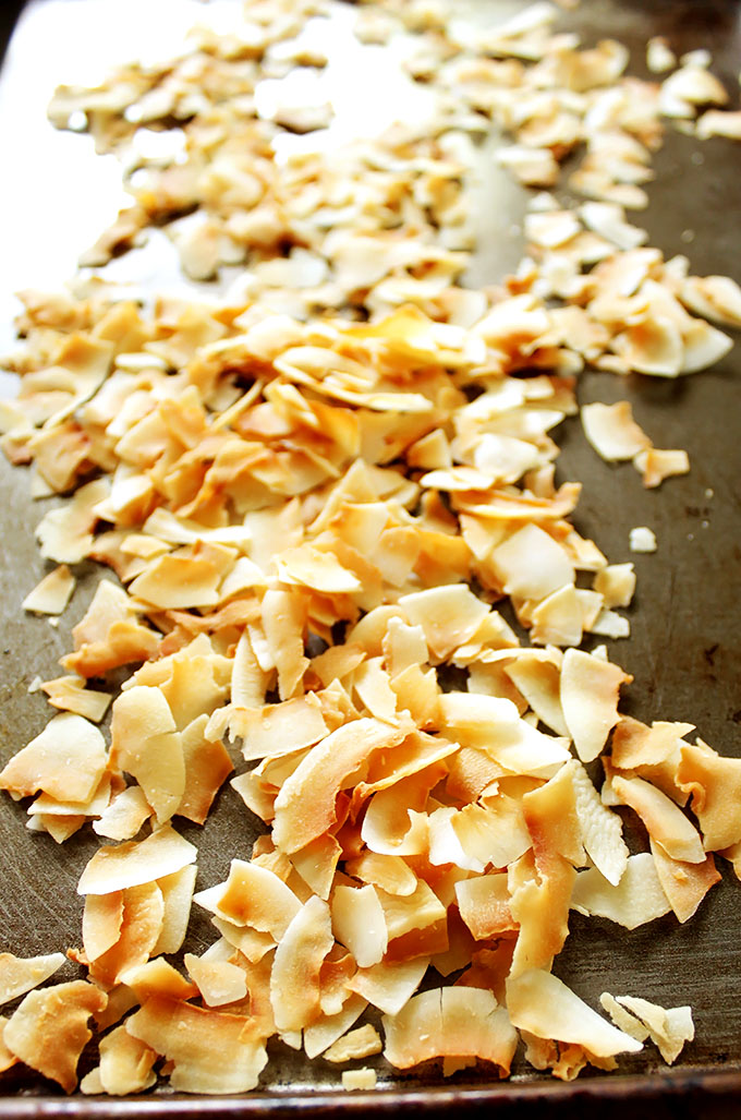 Easy Toasted Coconut Chips (Gluten-Free, Vegan) - Dish by Dish