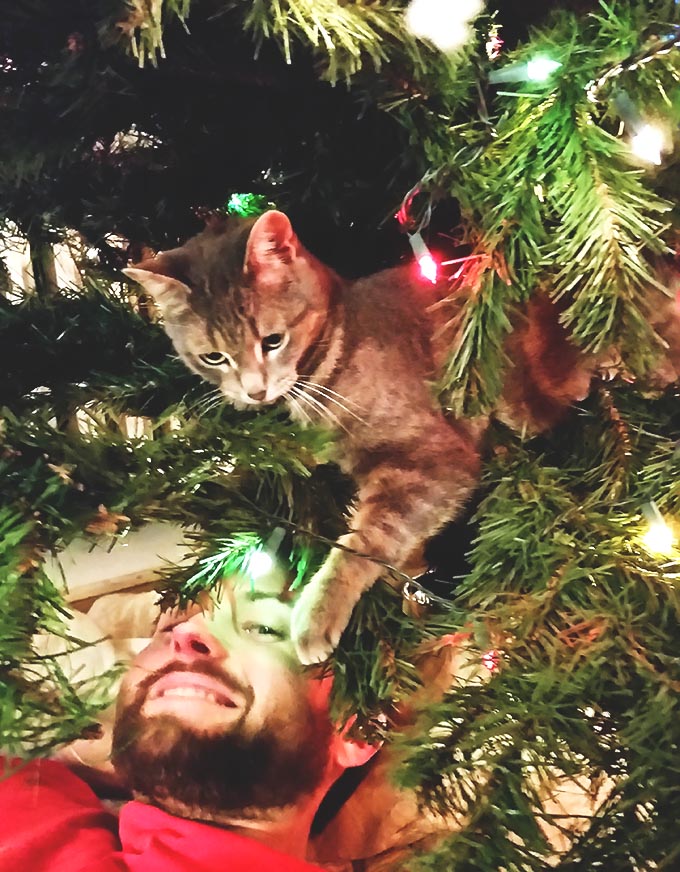 Paul and Granite Playing in the Chrismtas Tree