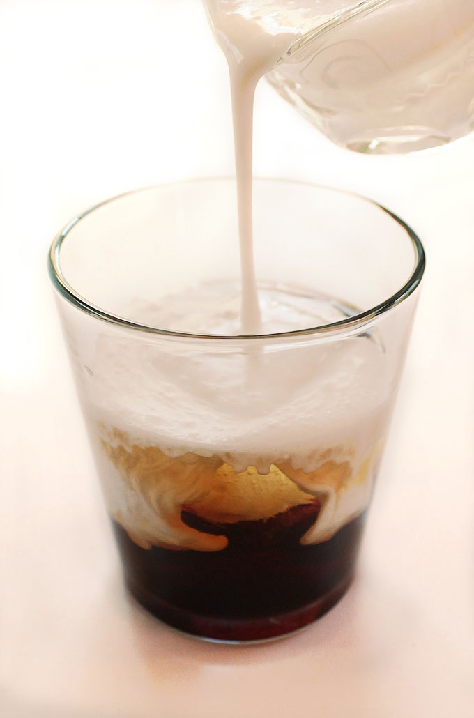 Coconut White Russian - A twist on the classic cocktail recipe. Rich coconut milk instead of cream! Decedent, delicious, and EASY to make! Vegan & Dairy Free! | Robustrecipes.com
