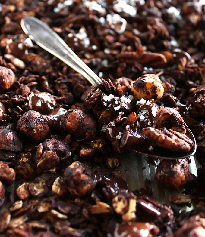Crunchy Chocolate Hazelnut Granola - crunchy oats, hazelnuts, and pecans coated in cocoa powder with clusters of salted chocolate. This recipe is perfect for snacking or as a dessert. Great for fall or winter! gluten free/ refined sugar free | robustrecipes.com