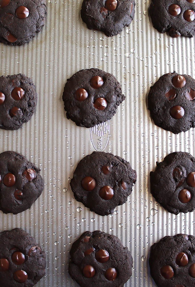 Gluten Free Chocolate Cookies | robustrecipes.com