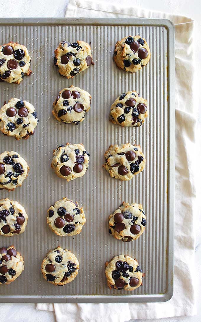 Berry Chocolate Chip Cookies (Gluten Free) - Soft cookies that are studded with tart dried cherries, sweet dried blueberries, and rich dark chocolate chips. Plus this recipe only requires one bowl! So YUM! | robustrecipes.com