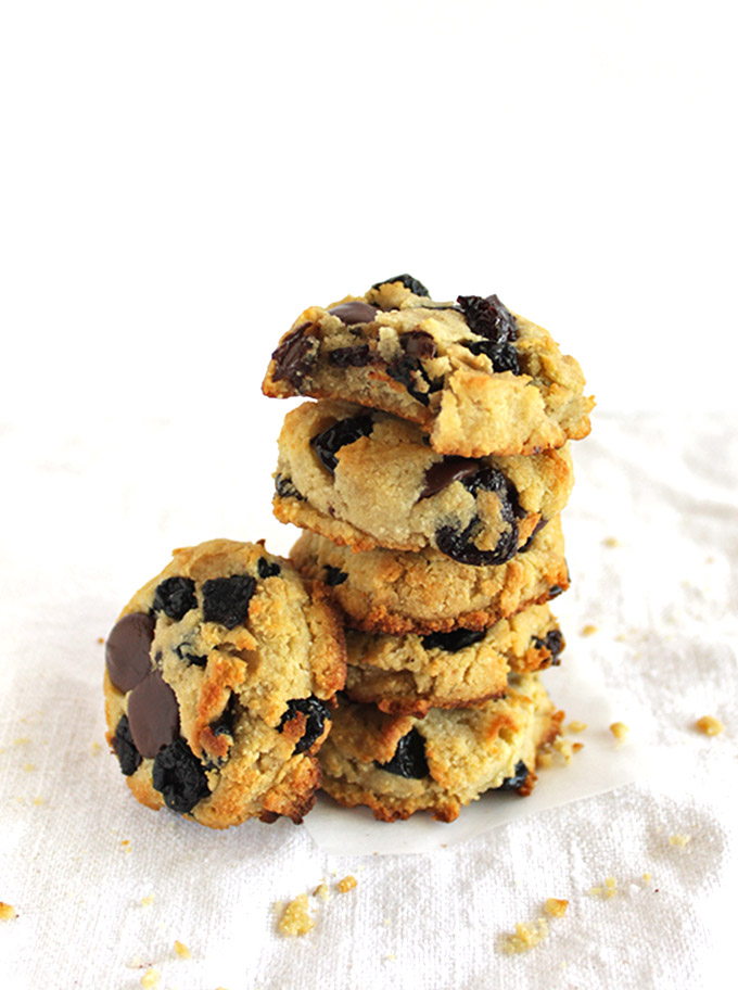 Berry Chocolate Chip Cookies (Gluten Free) - Soft cookies that are studded with tart dried cherries, sweet dried blueberries, and rich dark chocolate chips. Plus this recipe only requires one bowl! So YUM! | robustrecipes.com