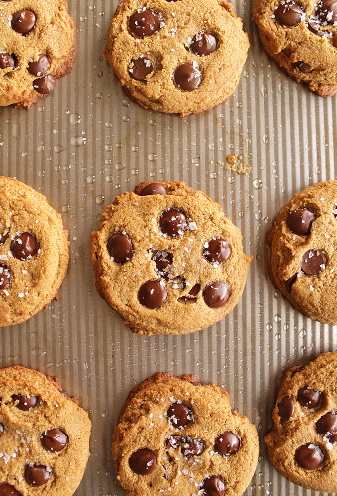 Soft Chocolate Chip Cookies (Gluten Free) - The ultimate soft chocolate chip cookie recipe. Perfectly fluffy, tender and studded with dark chocolate chips and topped with flaked sea salt. So YUM! (Gluten Free/Dairy Free) | robustrecipes.com