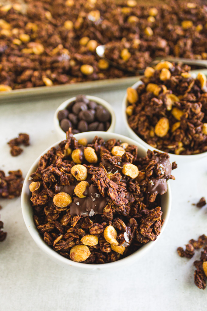 Peanut Butter Chocolate Granola (Dessert Granola) - Chocolate granola has melted chocolate chips that form delicious clusters of crunchy granola. Honey roasted peanuts add more crunch. This granola is great anytime you want a sweet treat. #chocoaltegranola #granolarecipe #glutenfreerecipe #oats #peanutbutter #peanuts #dairyfreerecipe #veganrecipe | robustrecipes.com