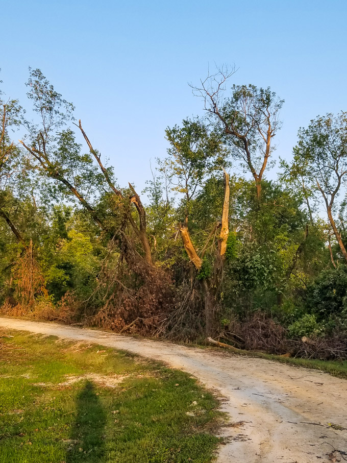 Damage from the Derecho Strom in Cedar Rapids, Iowa. August 2020.