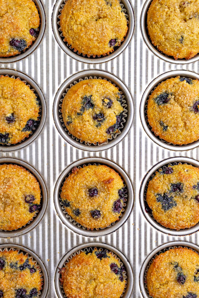 Gluten free blueberry muffins baked in a muffin tin. 