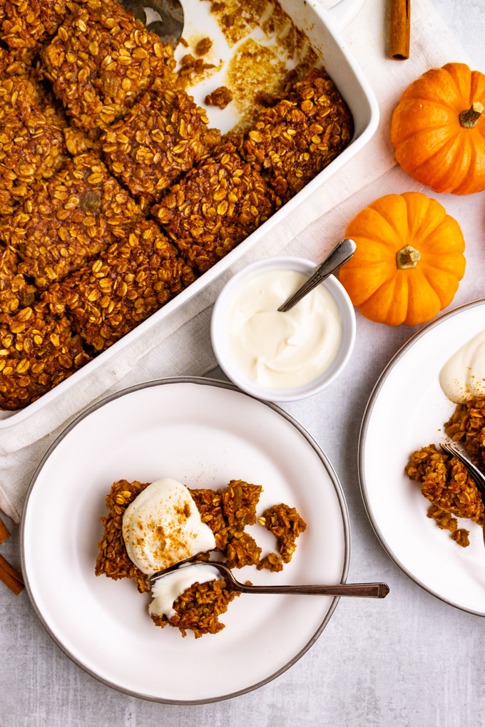 Overhead shot of healthy baked pumpkin oatmeal. Squares of oatmeal on plates with forks taking bites out of them. The pan of baked oatmeal is in the background along with small pumpkins.