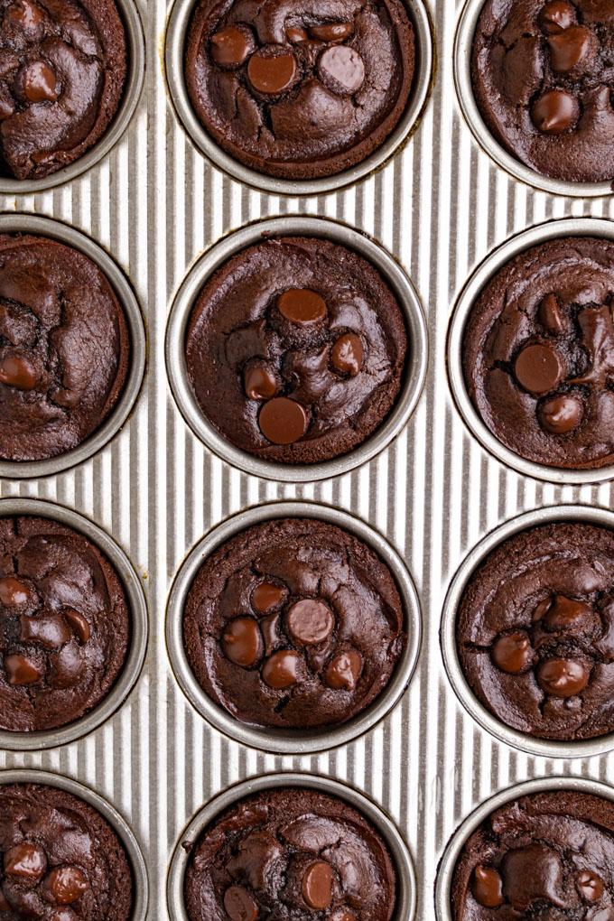 chocolate muffins fresh out of the oven, baked into a muffin pan.