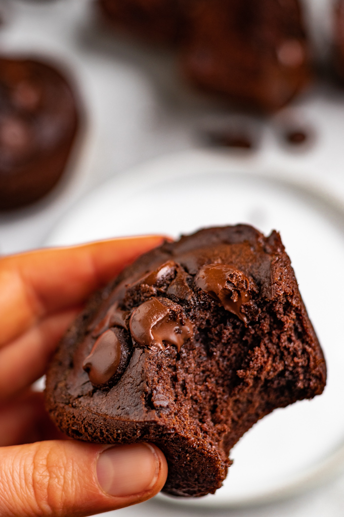 A close up shot of a hand holding a chocolate black bean muffin with a bite taken out of it. More muffins are blurred in the background.