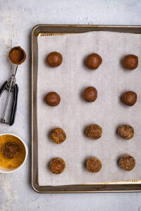 Chewy Gluten Free Molasses Cookies (+ Vegan) - Robust Recipes