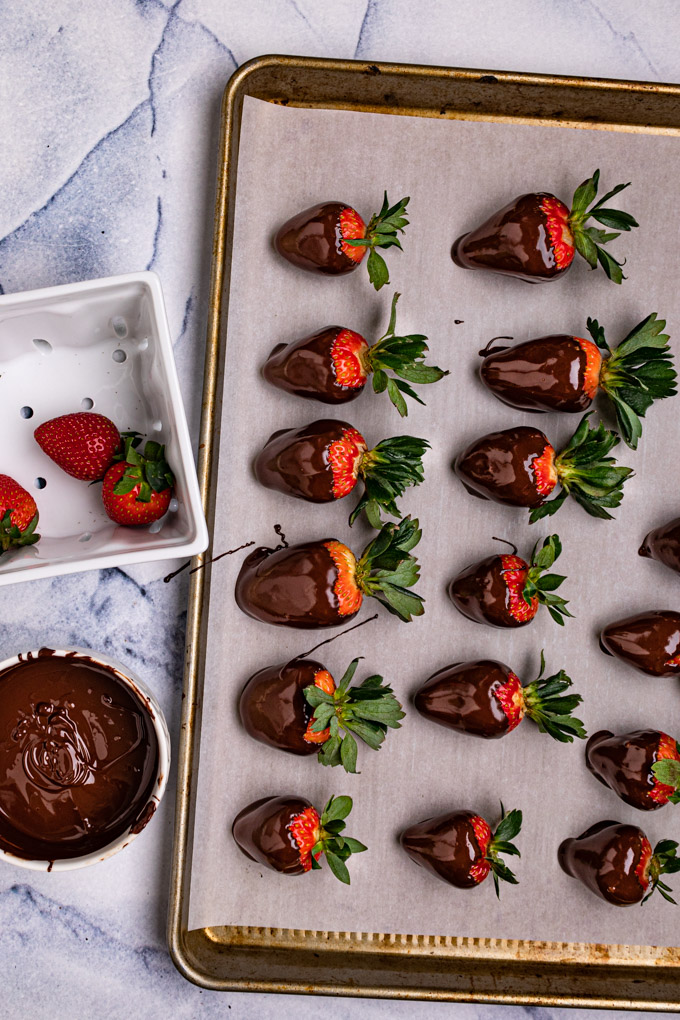 Strawberries have been dipped in chocolate. They are laying on a baking sheet lined with parchment paper. A bowl of strawberries is off to the side, along with a bowl of melted chocolate.
