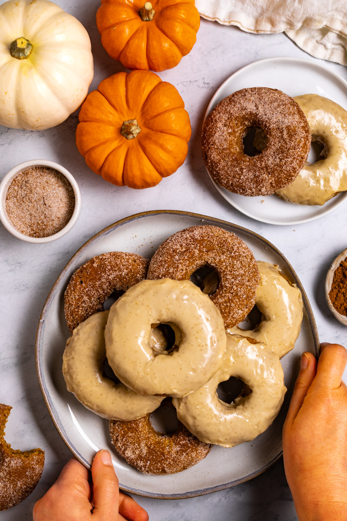 Overhead shot of baked pumpkin donuts on a plate. The donuts are stacked. Some are coated in a maple glaze, and others are coated in a sugar mixture. Hands are holding the plate. Mini pumpkins are in the upper left hand corner. Another small plate of donuts are in the right hand corner.